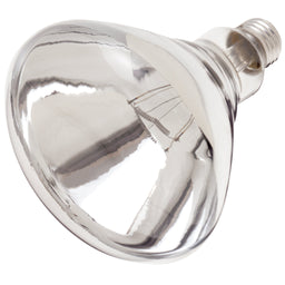250R40/1/120V/TC.SAT Heat Lamp 250W Clr 120V E26 Tf