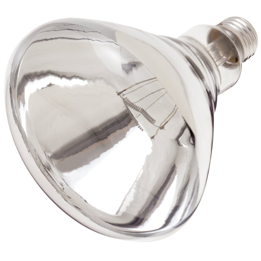 250R40/1/120V/TC.SAT Heat Lamp 250W Clr 120V E26 Tf