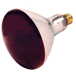 250R40/10/120V.SAT Heat Lamp 250W Red 120V E26