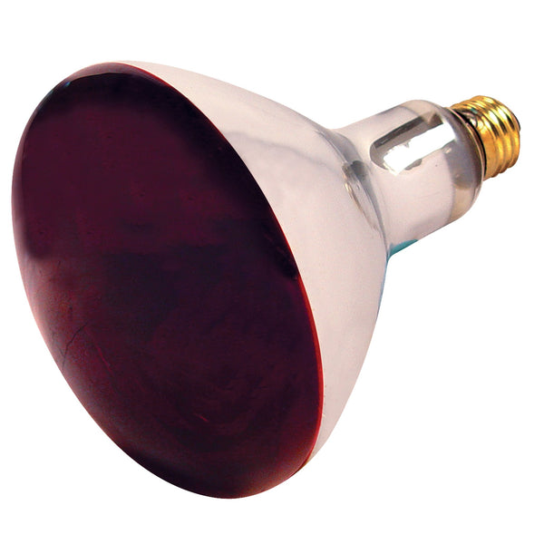 250R40/10/120V.SAT Heat Lamp 250W Red 120V E26