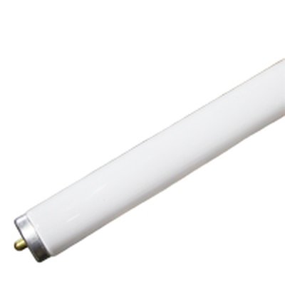 F96T12 8ft T12 single-pin (FA8) fluorescent lamp
