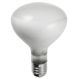 500R40/3FL/130V (80915) 500W R40 Pool MOG.130V