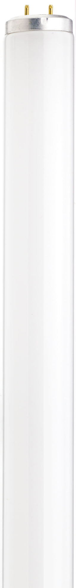 F20T12/D.SYL (S6566) (S6566) 20W T12 65K