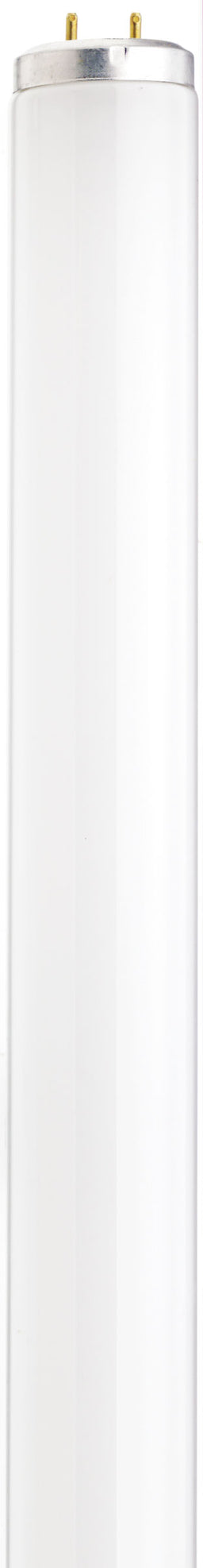 F25T12/CW/28.SATCO (S26568) 25W T12 28"