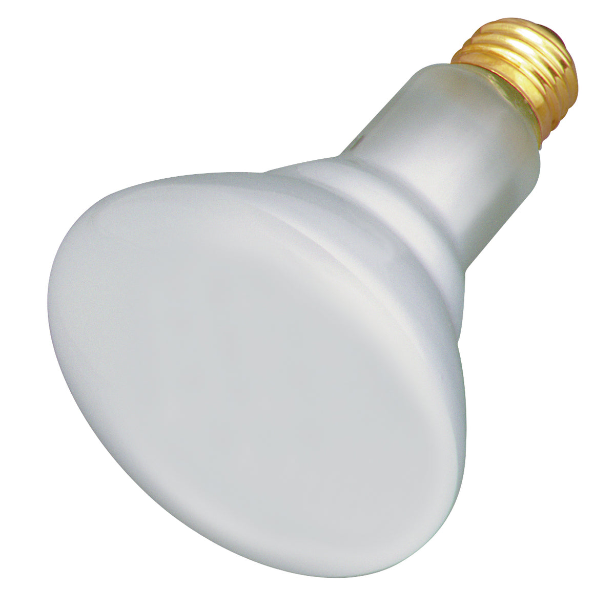 65BR30/TC.SAT (S4887) 65W R-30 Tough Coat