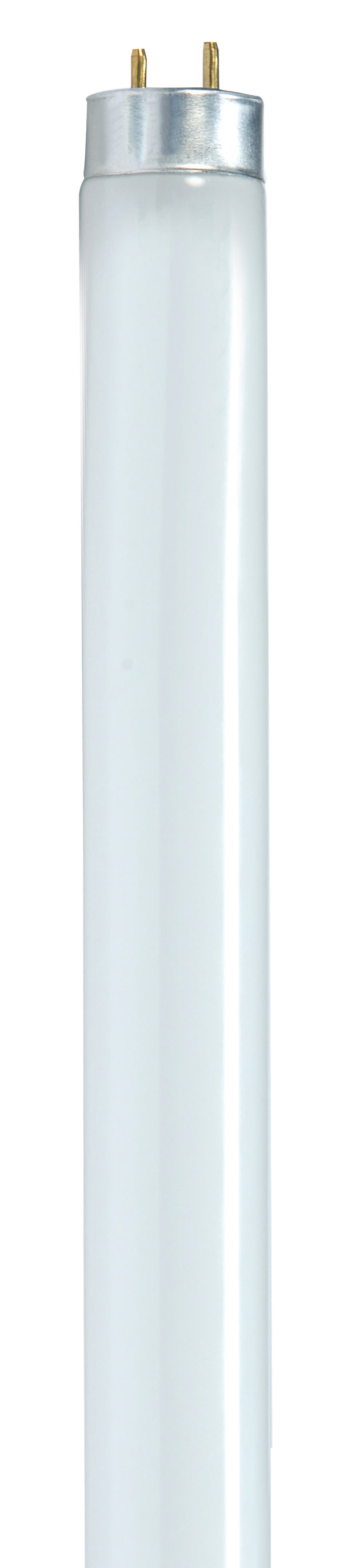 F25T8/865/ENV T8 3FT 25W 65K G13 2150LMNS