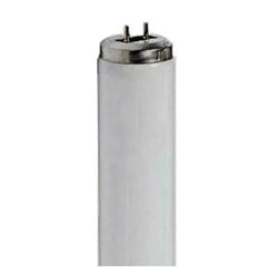 Fluorescent T12 & T10