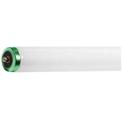 F96T12/830/EW/ALTO (142695/36656) 8FT60W T12 Wrm
