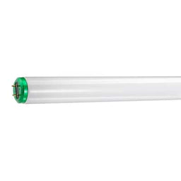 F25T12/CW/28.SATCO (S26568) 25W T12 28"