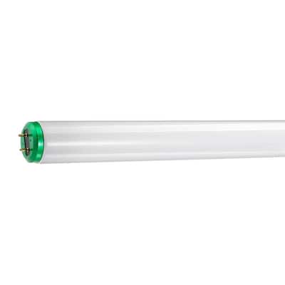 F25T12/CW/28.SATCO (S26568) 25W T12 28"