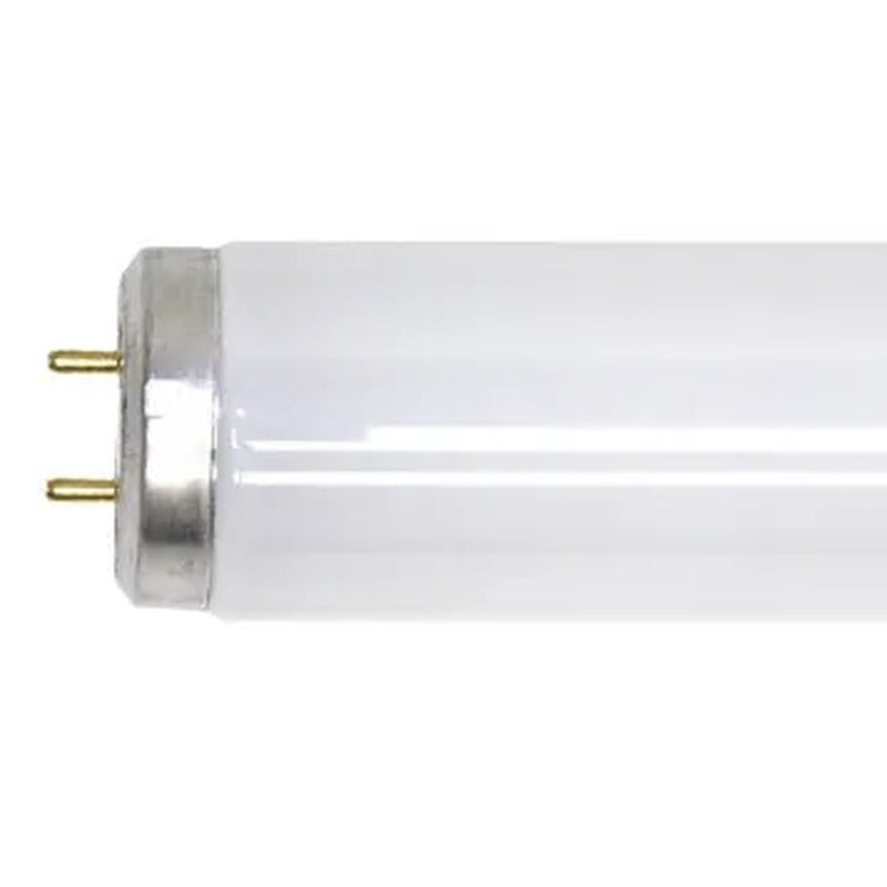 T12 bi-pin fluorescent tube end