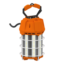 TEMP-100-850 Work Light 100W 50K 120V Plug