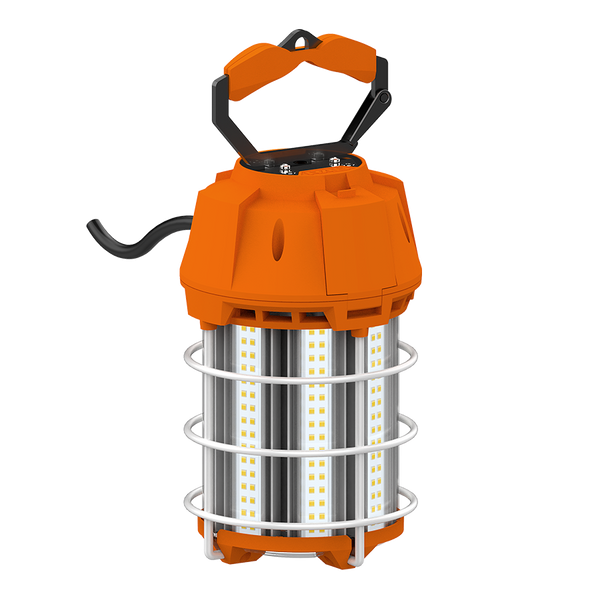 TEMP-100-850 Work Light 100W 50K 120V Plug